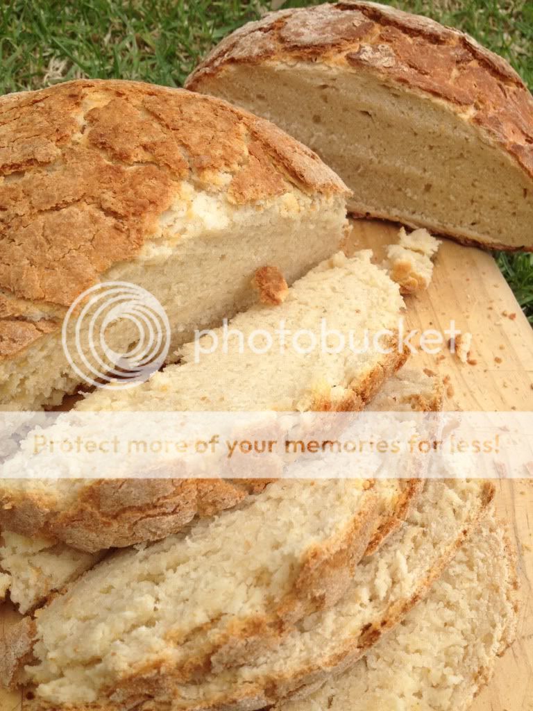 Camp Oven Bread with Beer instead of Yeast